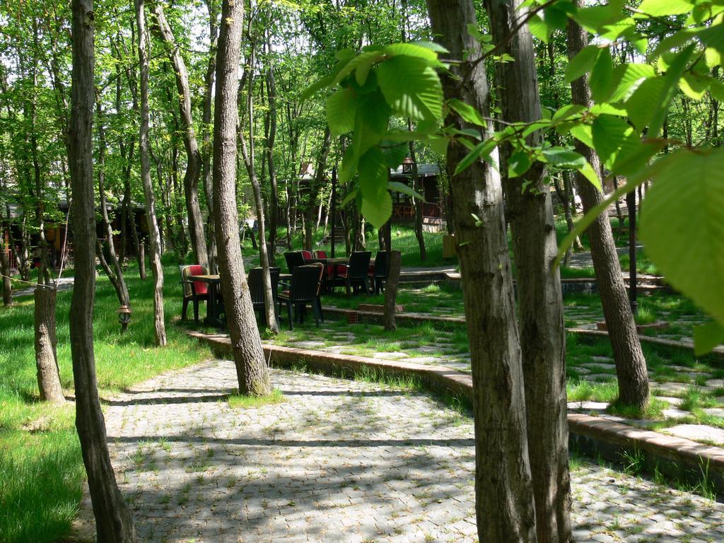 Dolunay Fanizan Hotel Fatsa Exterior photo